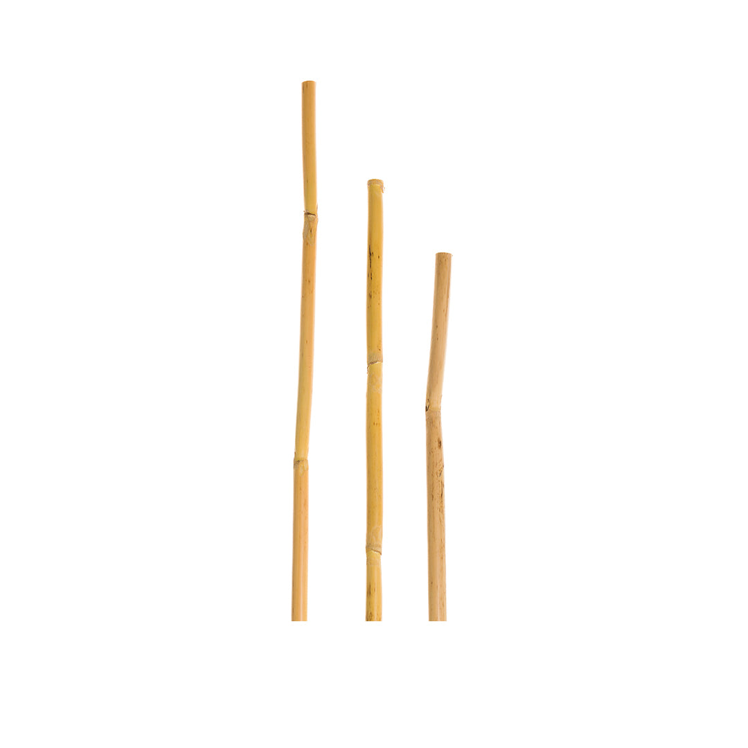 Brown Straw Reed Natural Reed Straws (20 Pack) | Biodegradable | Verdant Vault – Verdant ...